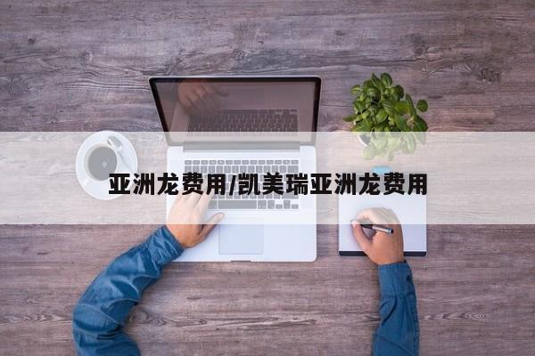 亚洲龙费用/凯美瑞亚洲龙费用