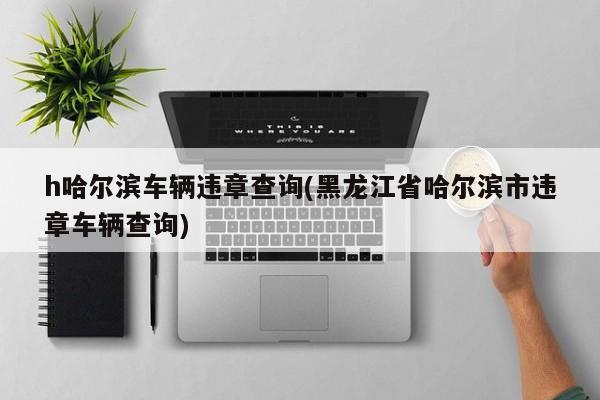 h哈尔滨车辆违章查询(黑龙江省哈尔滨市违章车辆查询)
